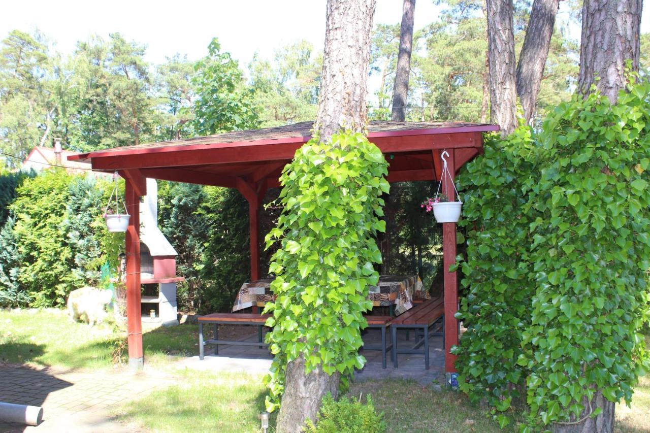Dom Pod Sosnami Mielno (Koszalin) Exterior foto